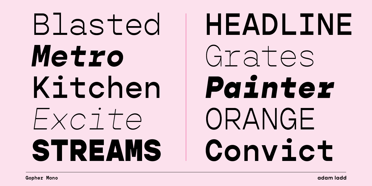 Gopher Mono Bold Italic Font preview